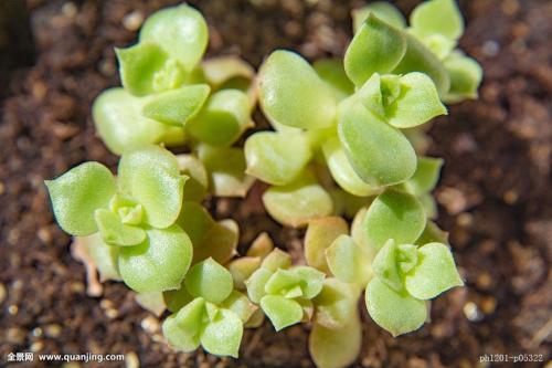 й½ϳƫ ȫůorȫ䣿